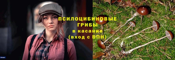 герыч Ельня