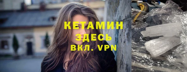 прущие грибы Дмитровск
