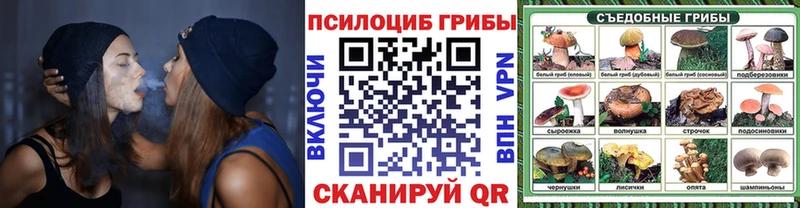 площадка клад  blacksprut tor  Туринск  Псилоцибиновые грибы мухоморы 
